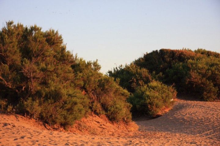 Médanos camino a la playa de Valeria del Mar, cerca de La Cascada