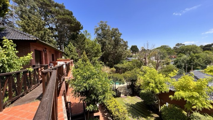 Vista panorámica del complejo y el bosque desde la cabaña Imero – La Cascada, Valeria del Mar
